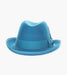 ELIAS HOMBURG HAT Wool Hat