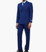 HAMPSTEN 2 Piece Suit