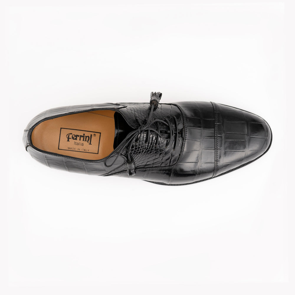 Alligator 4234