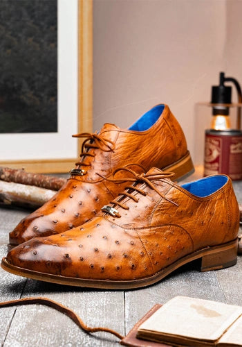 Ostrich Shoes
