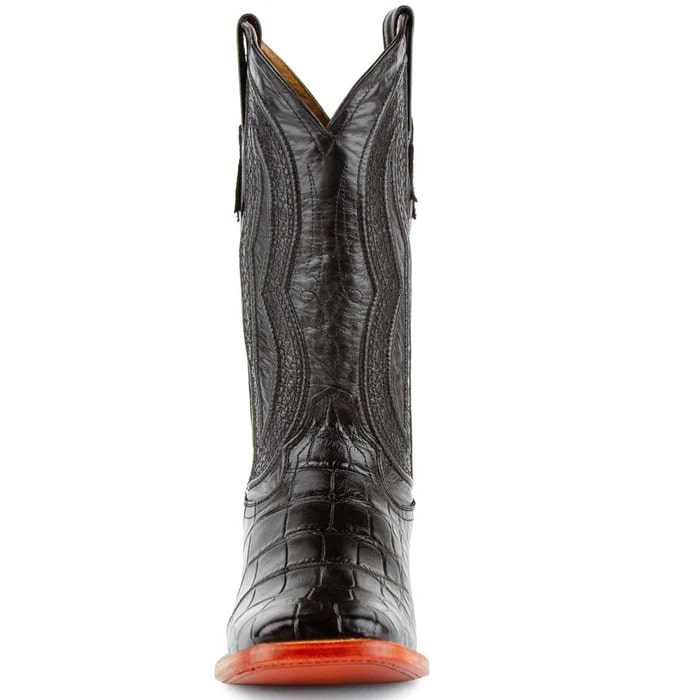 Ferrini Stallion - American Alligator