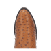 Dan Post Tempe Ostrich Boot - Full Quill Luxury Western