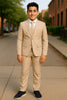 Boys Designer Suit