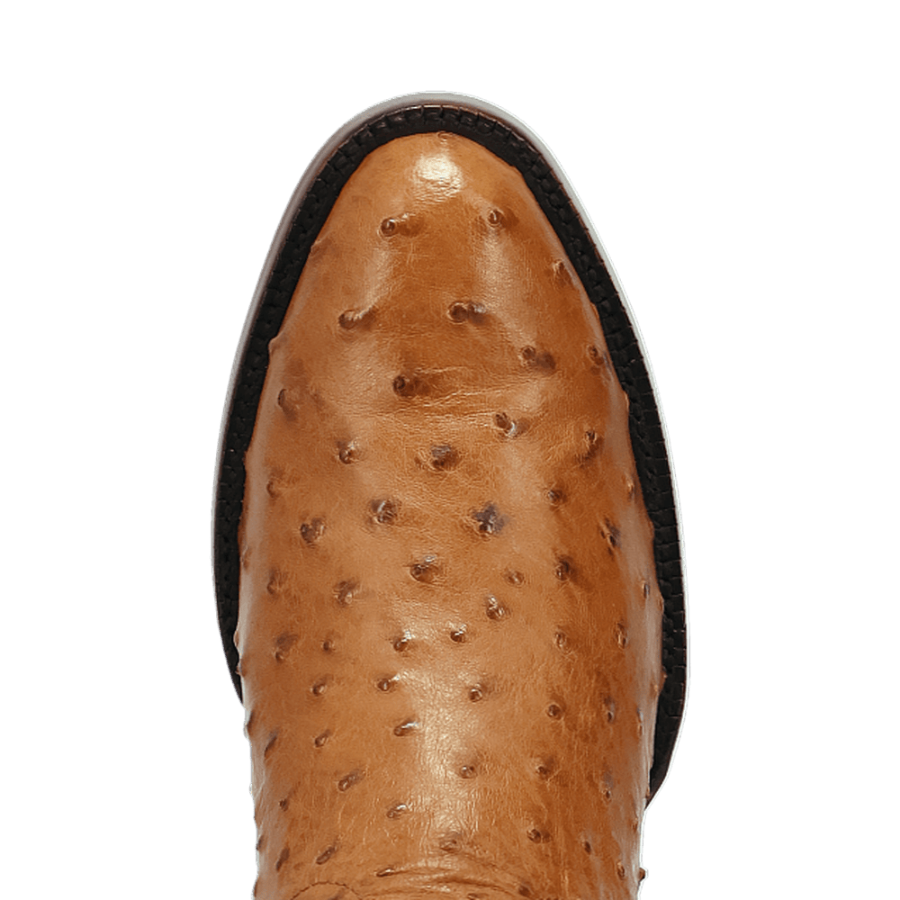 Dan Post Stanford Full Quill Ostrich Boot - Luxury Western Style