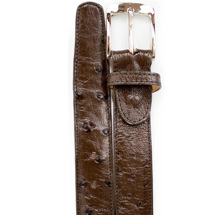 Mens Genuine Ostrich Quill Dress Belt in Brown