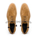 Zelli Campo Suede Goatskin Blucher Lace-up Shoes in Tobacco