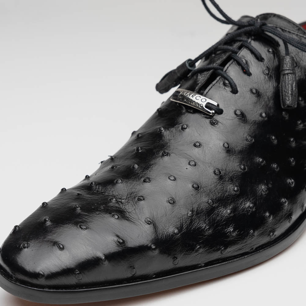 Marco Di Milano Criss Ostrich Quill Dress Oxfords Black