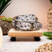 Marco_Di_Milano Domenico Belt Antique Newspaper Leather Shoe