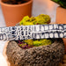 Marco_Di_Milano Silvio Belt - Antique Newspaper Leather Oxford