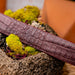 Marco Di Milano Riccardo Belt Wine Leather Shoe