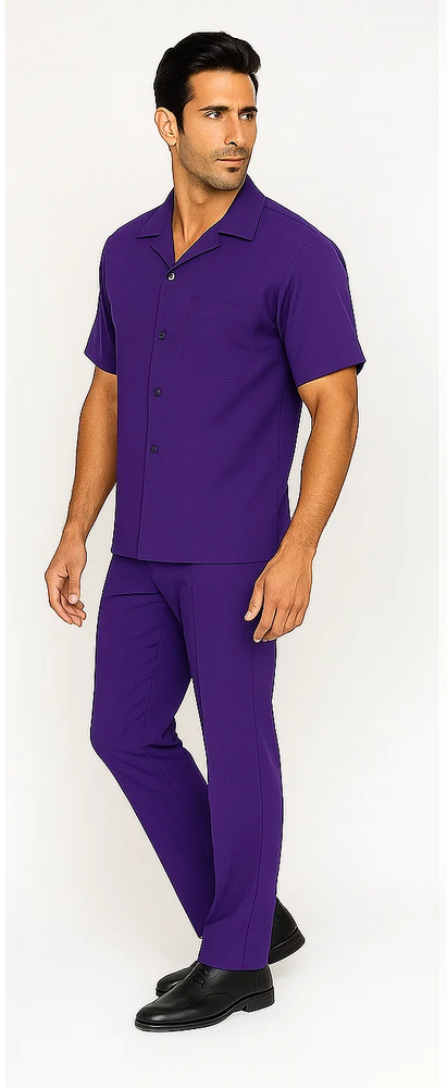 Mens Walking Suit in Color Purple Leisure Suit Casual Matching Shirt and Pants $99