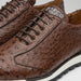 Marco Di Milano Scanno Brown Ostrich Quill Sneakers