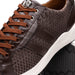 Marco Di Milano Verona Python & Calfskin Sneakers Brown