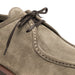 Zelli Wallaby Italian Suede Lace Up Sage (26-303-SGE)
