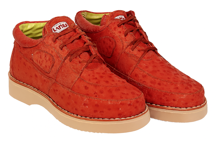 Zapato para Hombre de Piel de Avestruz Original Premium