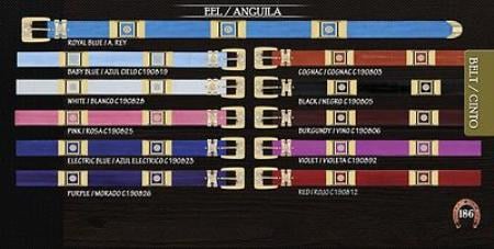 Genuine Eel Belt 1.5 Width w/ Gold Brackets